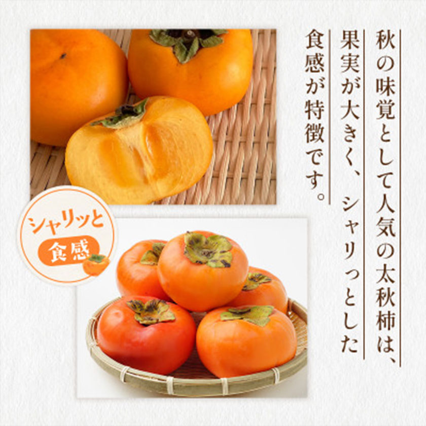 太秋柿 柿 約2kg 株式会社エフビーネット《10月上旬-11月上旬頃出荷》熊本県 菊池市 柿 かき たいしゅうがき 果物 フルーツ 秋の味覚 旬 デザート