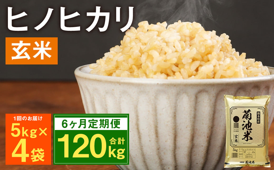 【定期便6ヶ月】熊本県菊池産 ヒノヒカリ 玄米 計120kg（5kg×4袋×6回）米 お米 残留農薬ゼロ 低温貯蔵