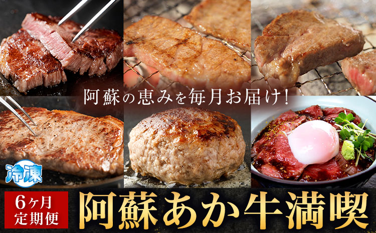 [6ヶ月定期便]阿蘇あか牛満喫セット 株式会社LARKS[お申し込み月の翌月から出荷開始]肉 牛肉 あか牛 ローストビーフ ハンバーグ 冷凍 名物 熊本県 毎月届く 送料無料