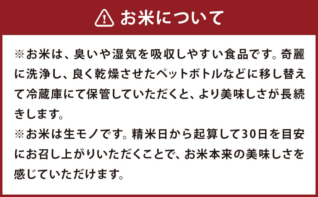 【令和6年産】 七城のお米 ぴかまる 5kg 米 白米 精米 こめ コメ お米 ごはん ご飯 熊本県産