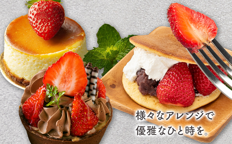 贅沢イチゴ ひのしずく 約45g×12玉 いちご イチゴ 苺《2026年3月発送予定》ヴァリアス株式会社 果物 くだもの フルーツ 希少 ギフト プレゼント 贈り物 国産 九州産 熊本県 菊池市 送料無料