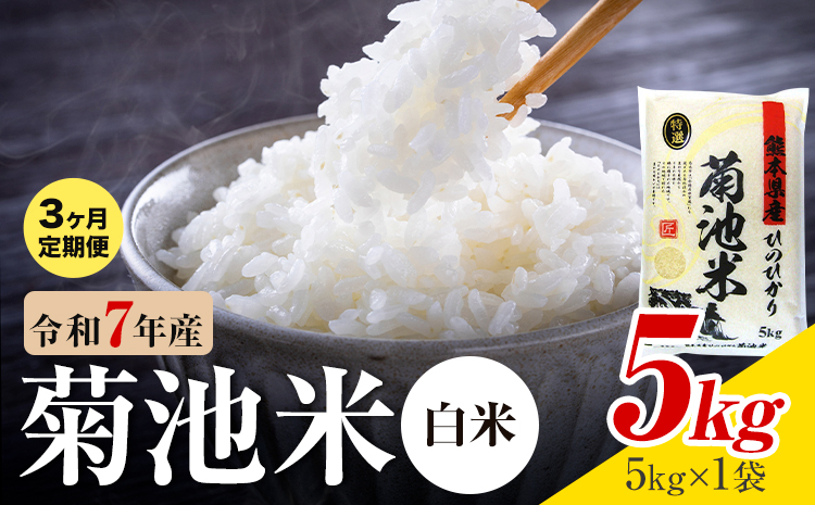 【3ヶ月定期便】熊本県産 菊池米 白米 5kg 1袋5kg 米 お米 令和7年産 九州産 熊本県産 送料無料《お申込み翌月に出荷予定》 白米 米