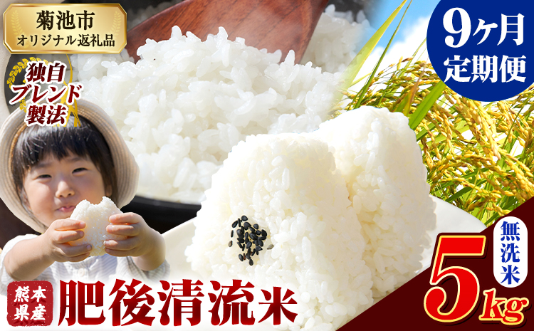 【9ヶ月定期便】熊本県産 肥後清流米 無洗米 5kg 熊本県産 ふるさと納税《お申込み月の翌月から出荷開始》 精米 米 こめ ふるさとのうぜい コメ お米 おこめ