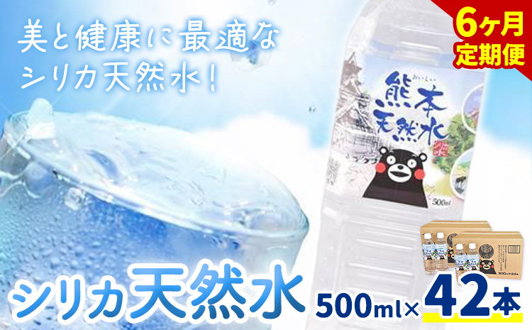 【6ヶ月定期便】シリカ天然水 500ml×42本 計252本 株式会社Foody's《申込月の翌月から出荷開始》熊本県 菊池市 シリカ水 飲料水 ミネラルウォーター 水 軟水 鉱水 ペットボトル 定期便