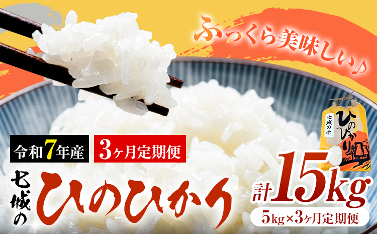 米 令和7年産 七城の ひのひかり 5kg 3ヶ月定期便 計15kg 有限会社草佳苑《90日以内に出荷予定(土日祝除く)》熊本県 菊池市 こめ 米 ひのひかり ブランド米 お米