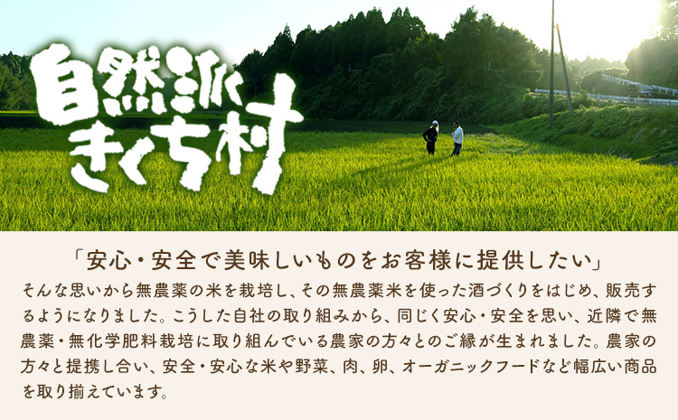 きくち村の緑米白玉粉 120g×6袋 合計720g 自然派きくち村(有限会社渡辺商店)《30日以内に出荷予定(土日祝除く)》熊本県 菊池市 白玉粉 自然栽培の緑米使用 白玉 粉末 もち米 製菓用 和菓子 熊本県産 九州産 国産