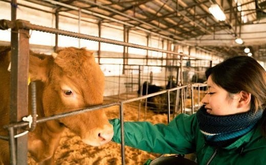 熊本県産 和牛 くまもとあか牛 ロース ブロック 1kg 牛肉 赤牛