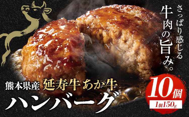 熊本県産 延寿牛 あか牛 ハンバーグ 約150g×10個 合計約1.5kg 株式会社原田畜産《30日以内に出荷予定(土日祝除く)》小分け 個包装 お肉 和牛 ハンバーグ 焼くだけ 熊本県産 九州産 国産 冷凍 送料無料