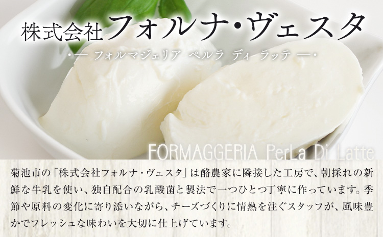 モッツァレラチーズ ミル爆 10個 チーズ モザレラ 株式会社フォルナ・ヴェスタ《90日以内に出荷予定(土日祝除く)》フレッシュ カプレーゼ おつまみ 前菜 手作り 国産 熊本県 菊池市 送料無料