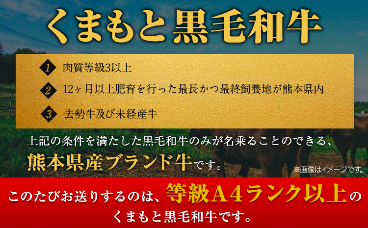 くまもと黒毛和牛 サーロイン リブロース ローススライス 600g 牛肉 冷凍 《30日以内に出荷予定(土日祝除く)》くまもと黒毛和牛 黒毛和牛 スライス 肉 お肉 しゃぶしゃぶ肉 すきやき肉 すき焼き　菊池市