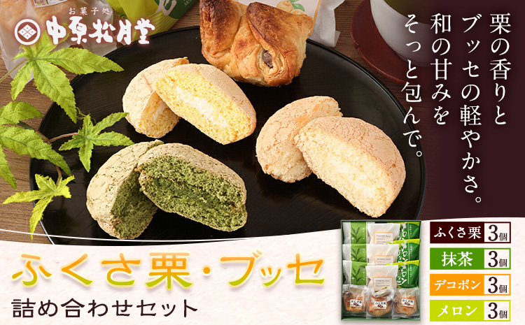 菊池銘菓 ふくさ栗 ・ ブッセ シリーズ 詰め合わせ セット 12個入 1箱 4種類 × 各3個 有限会社中原松月堂 《30日以内に出荷予定(土日祝除く)》熊本県 菊池市 ブッセ 抹茶 メロン ぽんぽん デコポン 栗 ふくさ栗 スイーツ デザート 焼き菓子 和菓子 洋菓子