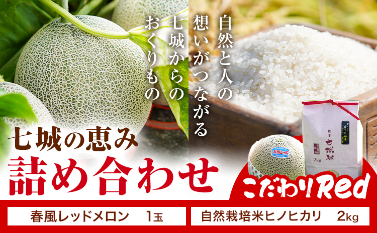 七城の恵み 詰め合わせ こだわりRed 自然栽培米 ヒノヒカリ 2kg 春風レッド メロン 1玉 株式会社七城の恵み《5月上旬-5月下旬頃出荷》熊本県 菊池市 米 メロン ひのひかり つるたファーム
