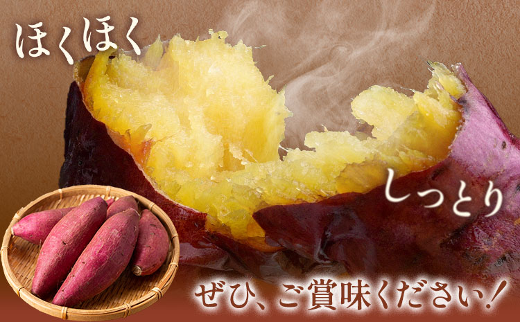 【先行予約】訳あり さつまいも 約5kg 日本フルーツ株式会社《2026年10月上旬-11月中旬頃出荷》熊本県 菊池市 さつまいも サツマイモ 訳あり 熊本県産