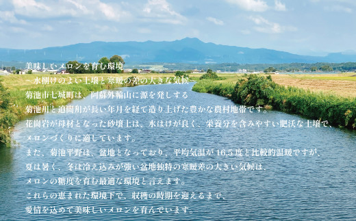 肥後グリーンメロン (特大) 4L～5Lサイズ 2玉【2024年5月上旬～6月下旬発送予定】