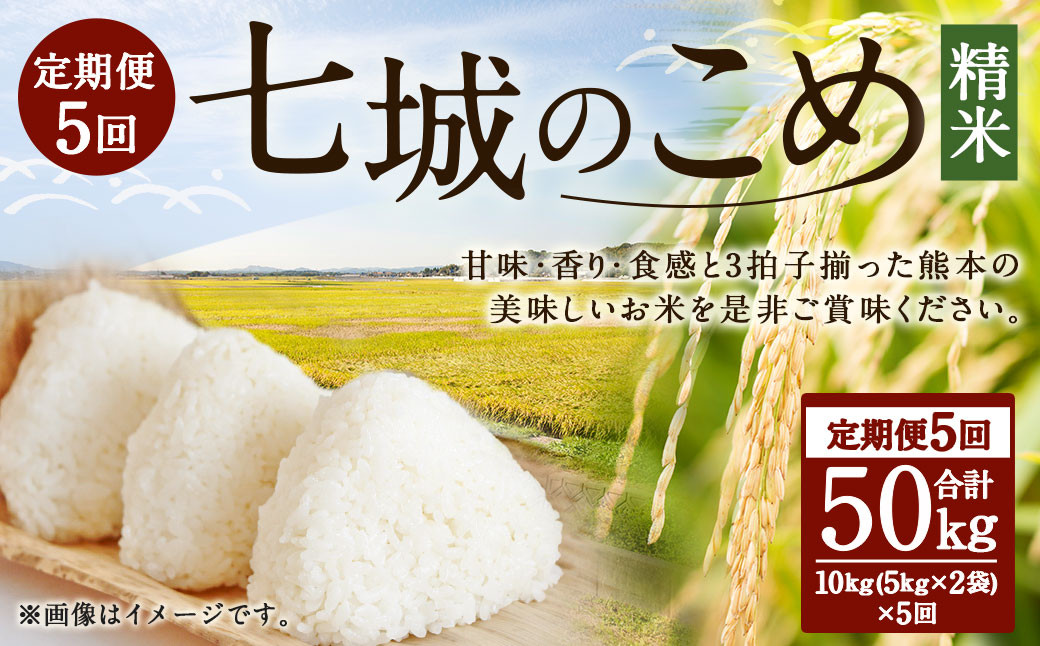 【5ヶ月定期便】七城のこめ 精米 計50kg（5kg×2袋×5回）ヒノヒカリ 白米 お米 米 おこめ 九州産 熊本県産