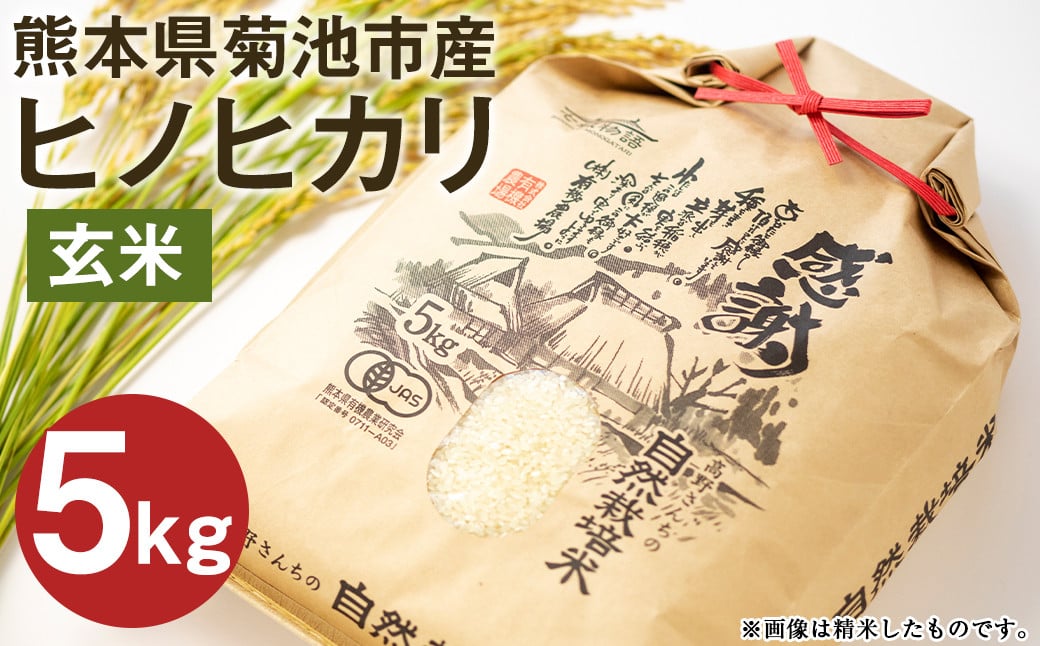 【通常パック】熊本県菊池産 ヒノヒカリ 玄米 5kg 七城物語 高野さんちの自然栽培米 米 お米 こめ コメ