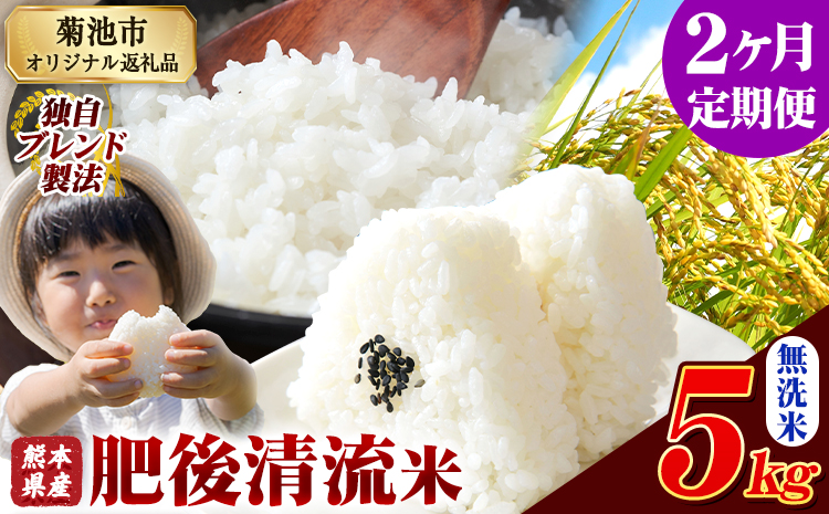 【2ヶ月定期便】熊本県産 肥後清流米 無洗米 5kg 熊本県産 ふるさと納税《お申込み月の翌月から出荷開始》 精米 米 こめ ふるさとのうぜい コメ お米 おこめ