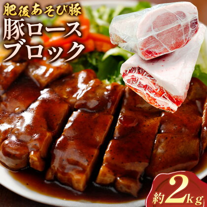 肥後あそび豚 ロースブロック 1kg×2パック 合計 2kg 《30日以内に出荷予定(土日祝除く)》熊本県 菊池市 ぶた ブタ 豚肉 肉 ブランド豚 ロース ブロック 国産 九州産 熊本県産 菊池市産 冷凍 送料無料