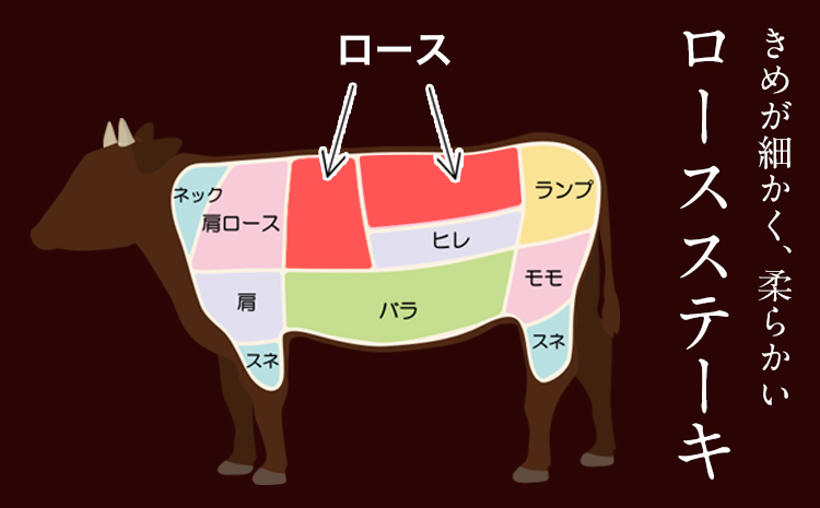 あか牛（褐毛和種）ロースステーキ (リブまたはサーロイン) 250g×2 500g 熊本県産 肉 和牛 牛肉 赤牛 あかうし リブロース サーロイン 冷凍 《2026年1月中旬-3月末頃出荷》送料無料