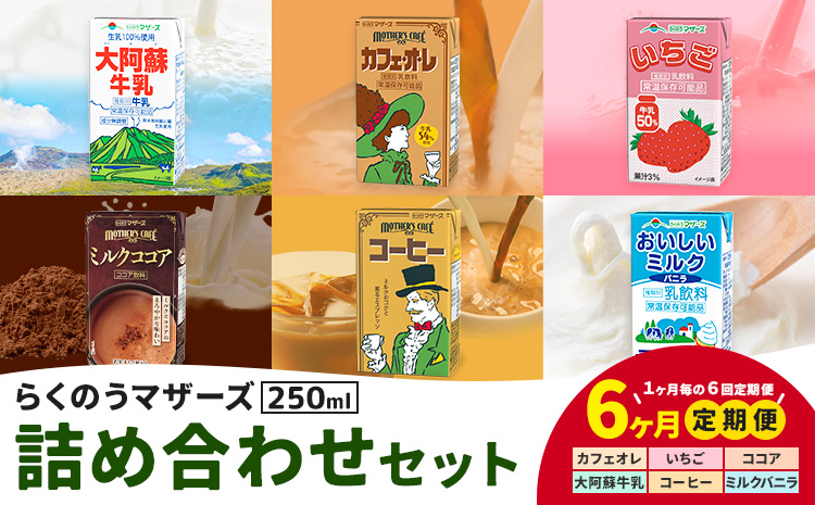 【6ヶ月定期便】常温保存可能 らくのうマザーズ 詰め合わせ セット合同会社たべたせいか《申込月の翌月から出荷開始》熊本県 菊池市 カフェオレ いちご ミルクココア 大阿蘇牛乳 コーヒー おいしいミルクバニラ 乳飲料 乳性飲料 らくのうマザーズ ドリンク
