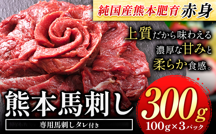 馬刺し 赤身 馬刺し 300g 【純 国産 熊本 肥育】 たっぷり 300g 約100g×3 ブロック ( タレ 5ml×3袋) 生食用 冷凍《30日以内に出荷予定(土日祝除く)》送料無料 国産 絶品 馬肉 肉 ギフト