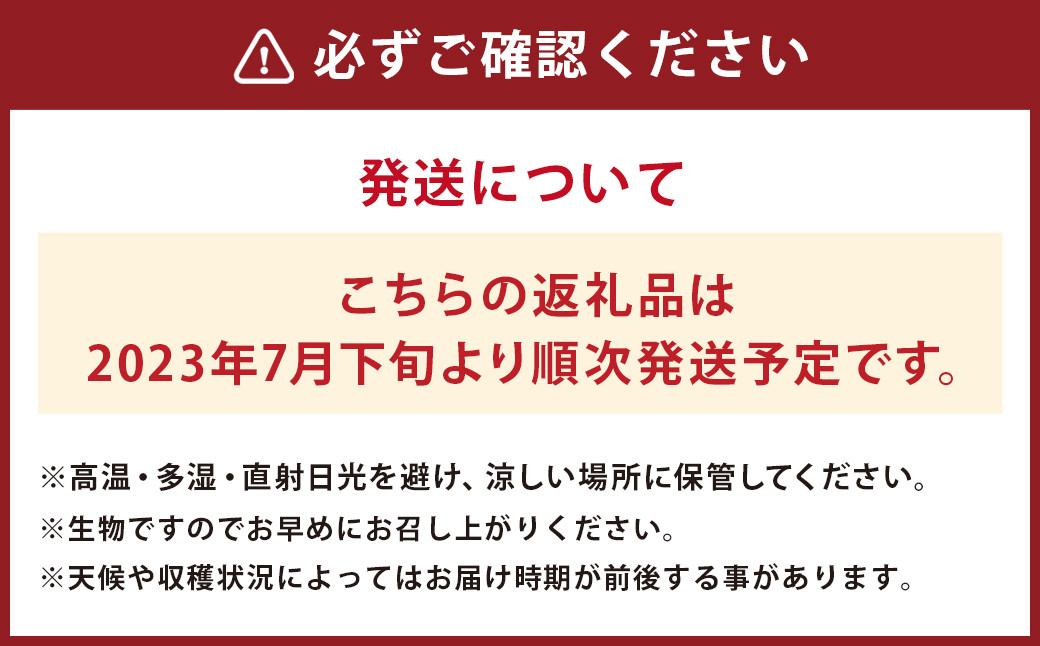 【2023年7月下旬より発送】 アールスメロン 2玉 2L以上 くまモン 箱入り メロン フルーツ 果物 くだもの 【メロンドーム】 