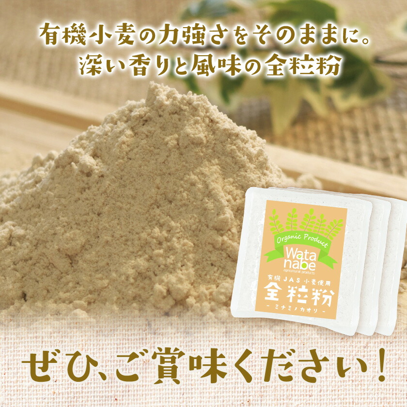 有機JAS小麦使用 全粒粉 合計3kg 1kg×3袋 《30日以内に出荷予定(土日祝除く)》熊本県 菊池市 小麦粉 ミナミノカオリ パンづくり 粉類 国産 九州産 熊本県産 送料無料