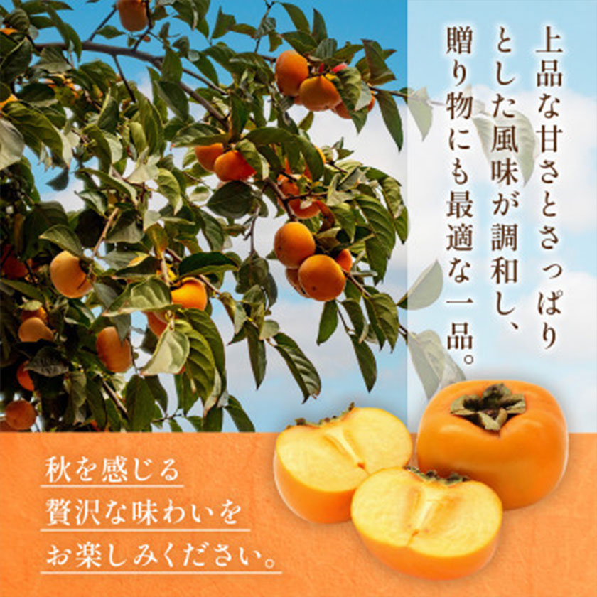 太秋柿 柿 約2kg 株式会社エフビーネット《10月上旬-11月上旬頃出荷》熊本県 菊池市 柿 かき たいしゅうがき 果物 フルーツ 秋の味覚 旬 デザート