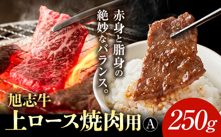 旭志牛 上ロース焼肉用A 250g 有限会社旭志村ふれあいセンター《90日以内に出荷予定(土日祝除く)》お肉 牛肉 ロース 焼き肉 菊池ブランド牛 冷凍 送料無料