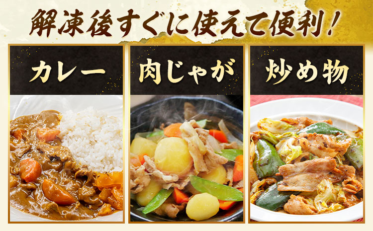 【6ヶ月定期便】 馬肉 小間 スライス 1kg（500g×2パック）五右衛門フーズ《お申込み翌月から出荷》馬肉 肉 お肉 こま切れ 定期 冷凍