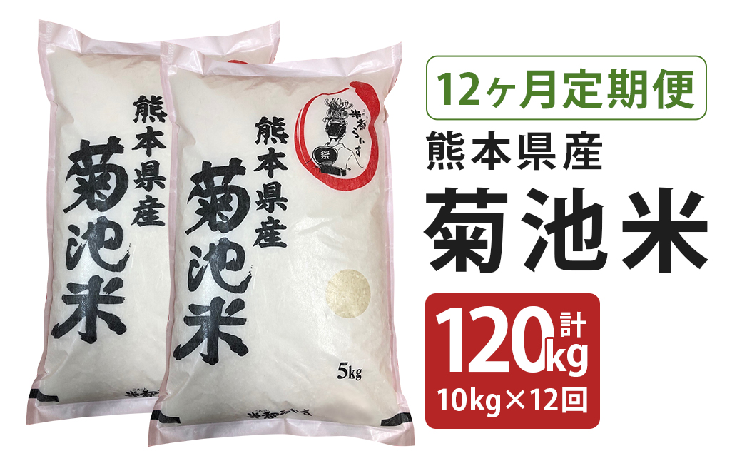 【定期便12回】菊池米 合計120kg(毎月5kg×2袋) 令和5年産