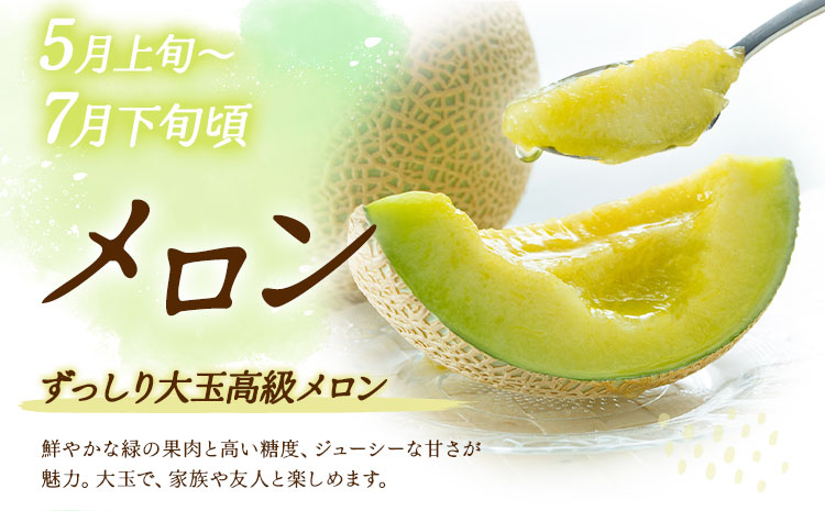 【5回定期便】旬のフルーツ定期便 いちご メロン 梨 シャインマスカット 柿 日本フルーツ株式会社《2027年1月中旬-11月中旬頃出荷》熊本県 菊池市 果物 くだもの フルーツ デザート