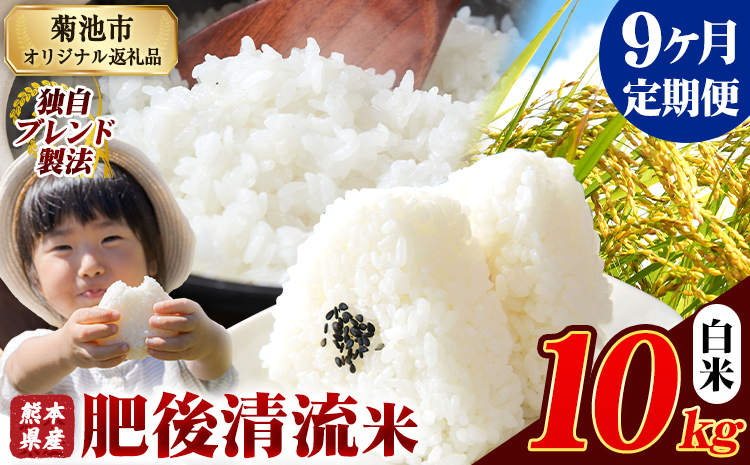 【9ヶ月定期便】熊本県産 肥後清流米 白米 10kg 熊本県産 ふるさと納税《お申込み月の翌月から出荷開始》 精米 米 こめ ふるさとのうぜい コメ お米 おこめ