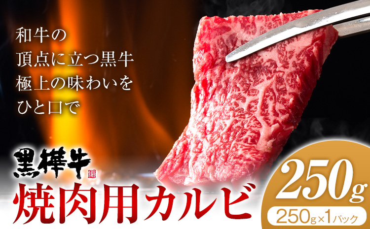 くまもと黒毛和牛 黒樺牛 A4〜A5等級 焼肉用カルビ 250g 株式会社杉本本店 《90日以内に出荷(土日祝除く)》熊本県 菊池市 牛肉 牛 霜降り 赤身 お肉 焼き肉 BBQ 黒毛和牛 国産 九州産 熊本県産 冷凍 送料無料