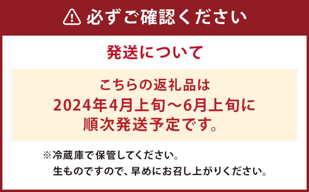 人参 約5kg(17～33本) 【2024年4月上旬より順次発送】にんじん 菊池市