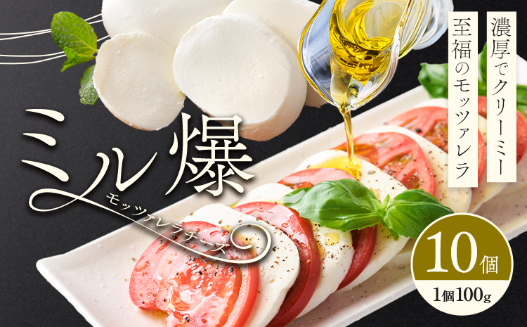 モッツァレラチーズ ミル爆 10個 チーズ モザレラ 株式会社フォルナ・ヴェスタ《90日以内に出荷予定(土日祝除く)》フレッシュ カプレーゼ おつまみ 前菜 手作り 国産 熊本県 菊池市 送料無料