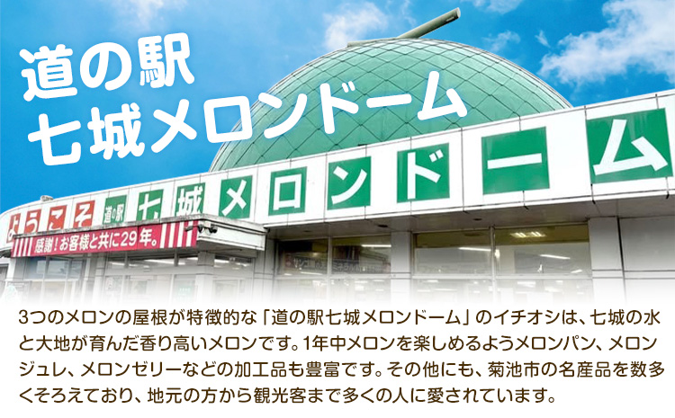 肥後グリーン メロン 2玉 約3.2kg 七城町特産品センター《5月中旬-6月末頃出荷》熊本県 菊池市 メロン 果物 フルーツ 九州産 熊本県産 めろん グリーンメロン