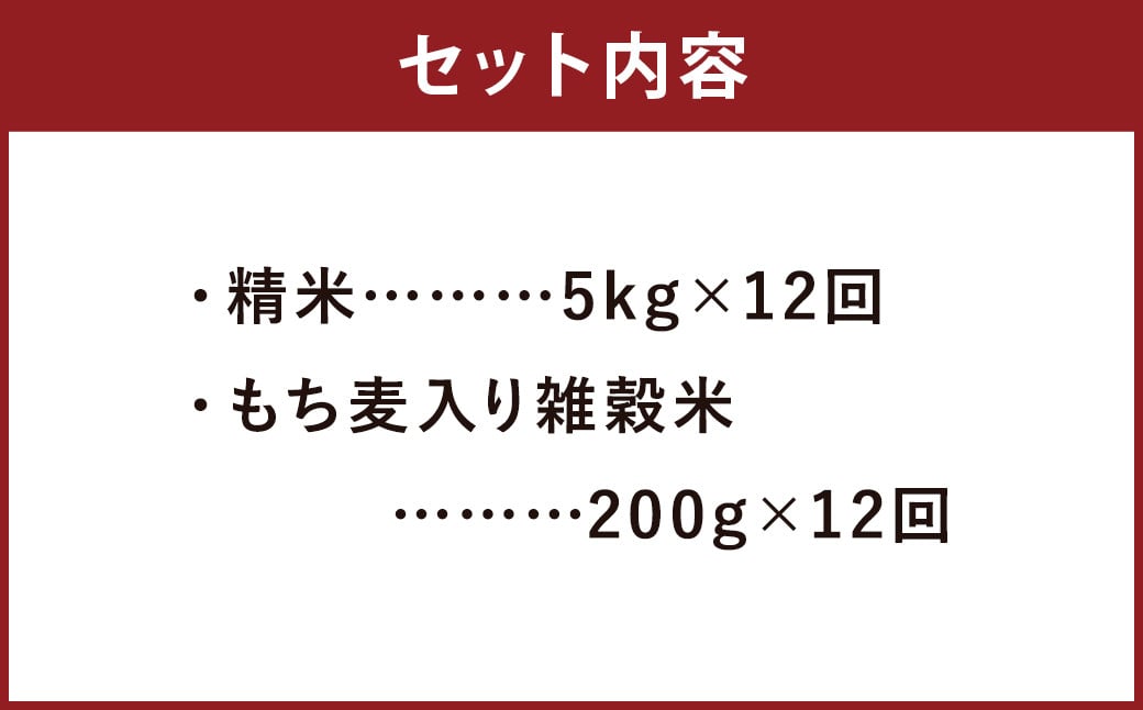 【定期便12ヵ月】熊本県菊池産 ヒノヒカリ 精米 計60kg(5kg×12) もち麦入り雑穀米 計2.4kg(200g×12) 低温保管 残留農薬ゼロ