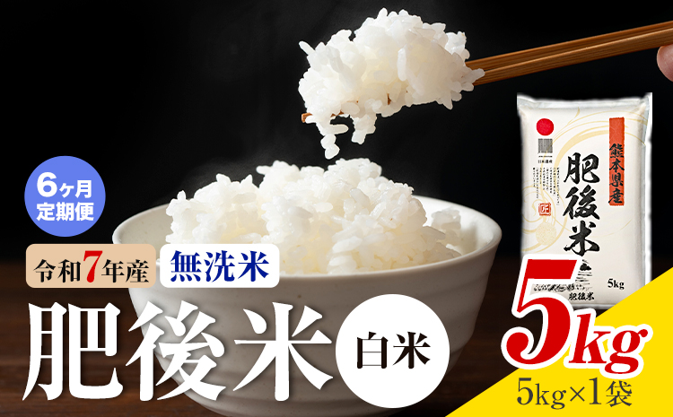 【6ヶ月定期便】熊本県産 肥後米 無洗米 白米 5kg 1袋5kg 米 お米 令和7年産 九州産 熊本県産 ブレンド米 送料無料《お申込み翌月に出荷予定》 無洗米 白米 米