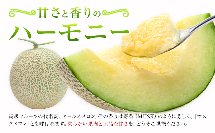 アールスメロン 約2kg×2玉 (約4kg)【養生市場】メロン 果物 フルーツ マスクメロン 九州産 熊本県産 送料無料 《2026年10月中旬-11月中旬頃出荷予定》