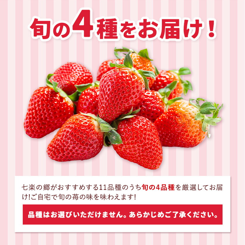 いちご 七楽の郷 4パック 800g 旬の品種《3月上旬-5月中旬頃出荷》ゆうべに 紅ほっぺ あまえくぼ エンジェルエイト さがほのか スターナイト ひのしずく ほしうらら 章姫 白蜜香 恋みのり 熊本県 菊池市 熊本県産
