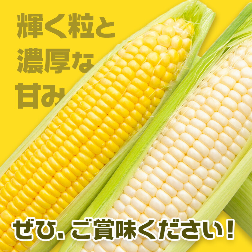 ã¹ã€ãŒãã³ãŒã³ã»ãã 8-10æ¬ãé€çåžå Žã ã³ãŒã³ ãšããããã åçš®ããŸãã ã©ã³ãã éè ä¹å·ç£ çæ¬çç£ éæç¡æã5æäžæ¬-6ææ«é åºè·ã