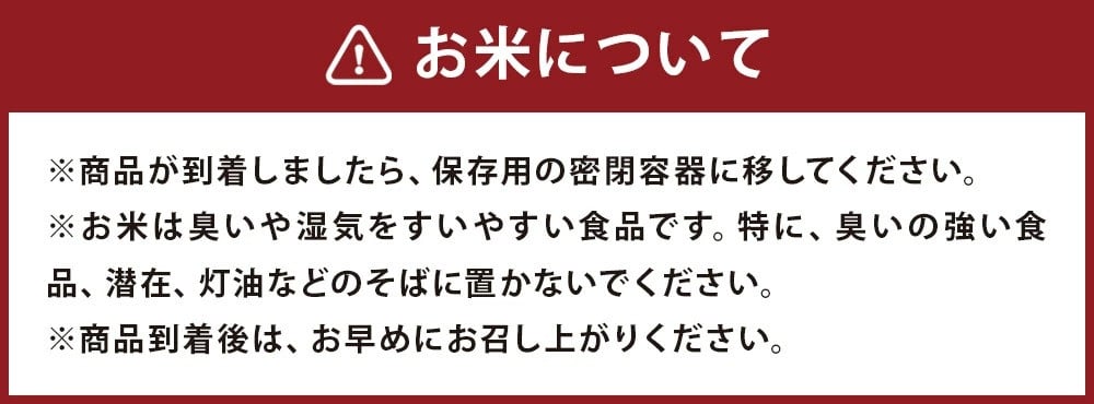 熊本県菊池産 ヒノヒカリ 5kg×2袋 計10kg 精米 お米 白米 令和6年産