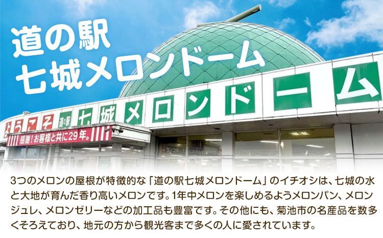 【先行予約】厳選すいか 1玉(6-7kg) 道の駅七城メロンドーム《5月中旬-6月中旬頃出荷》品種おまかせ ランダム 肥後漫遊 味で勝負iS 祭りばやし 果物 フルーツ スイカ 西瓜 九州産 熊本県産 送料無料