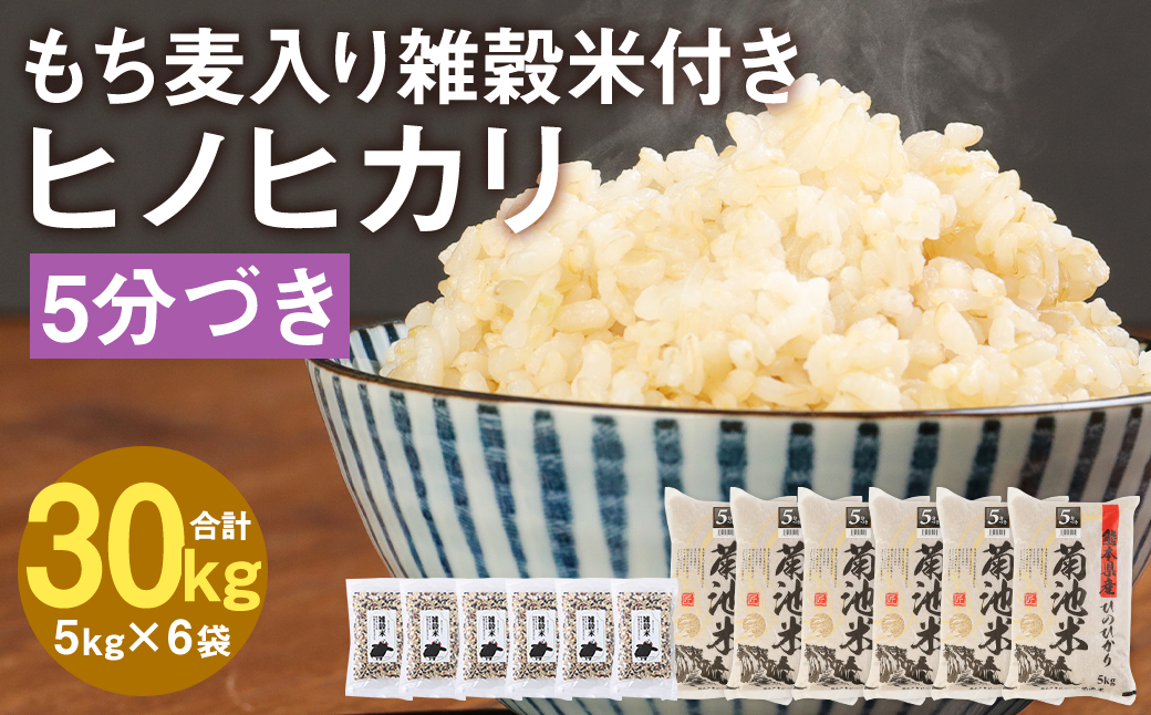 熊本県菊池産 ヒノヒカリ 5分づき米 5kg×6袋 もち麦入り雑穀米 200g×6袋 計31.2kg