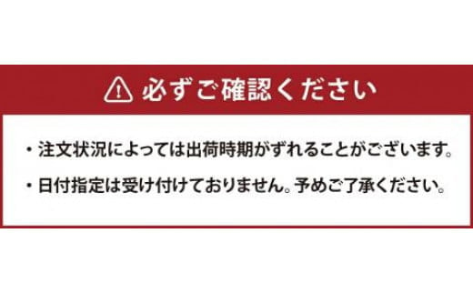 熊本県産 GI認証取得 くまもとあか牛 100％使用 ハンバーグ 計1.5kg（150g×10パック）