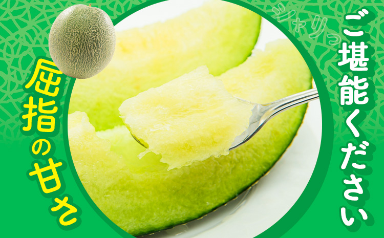 【先行予約】 メロン 肥後グリーンメロン 2玉 約 3kg ～ 4kg 株式会社Foody’s 食彩たかみ 《2026年5月下旬-7月下旬頃出荷》 熊本県 菊池市 フルーツ 果物 メロン 九州産 冷蔵 送料無料