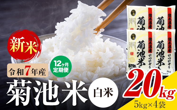 【12ヶ月定期便】熊本県産 菊池米 白米 20kg 1袋5kg 米 お米 令和7年産 九州産 熊本県産 送料無料《お申込み翌月に出荷予定》 白米 米