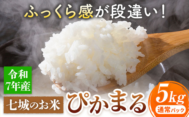 七城のお米 ぴかまる 5kg 通常パッケージ 白米 精米 令和7年産 堀田農場《30日以内に出荷予定(土日祝除く)》お米 熊本県 菊池市 熊本県産 九州産 送料無料