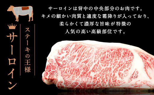 熊本県産 黒毛和牛 サーロイン ステーキ 計1kg（250g×4）国産 牛肉